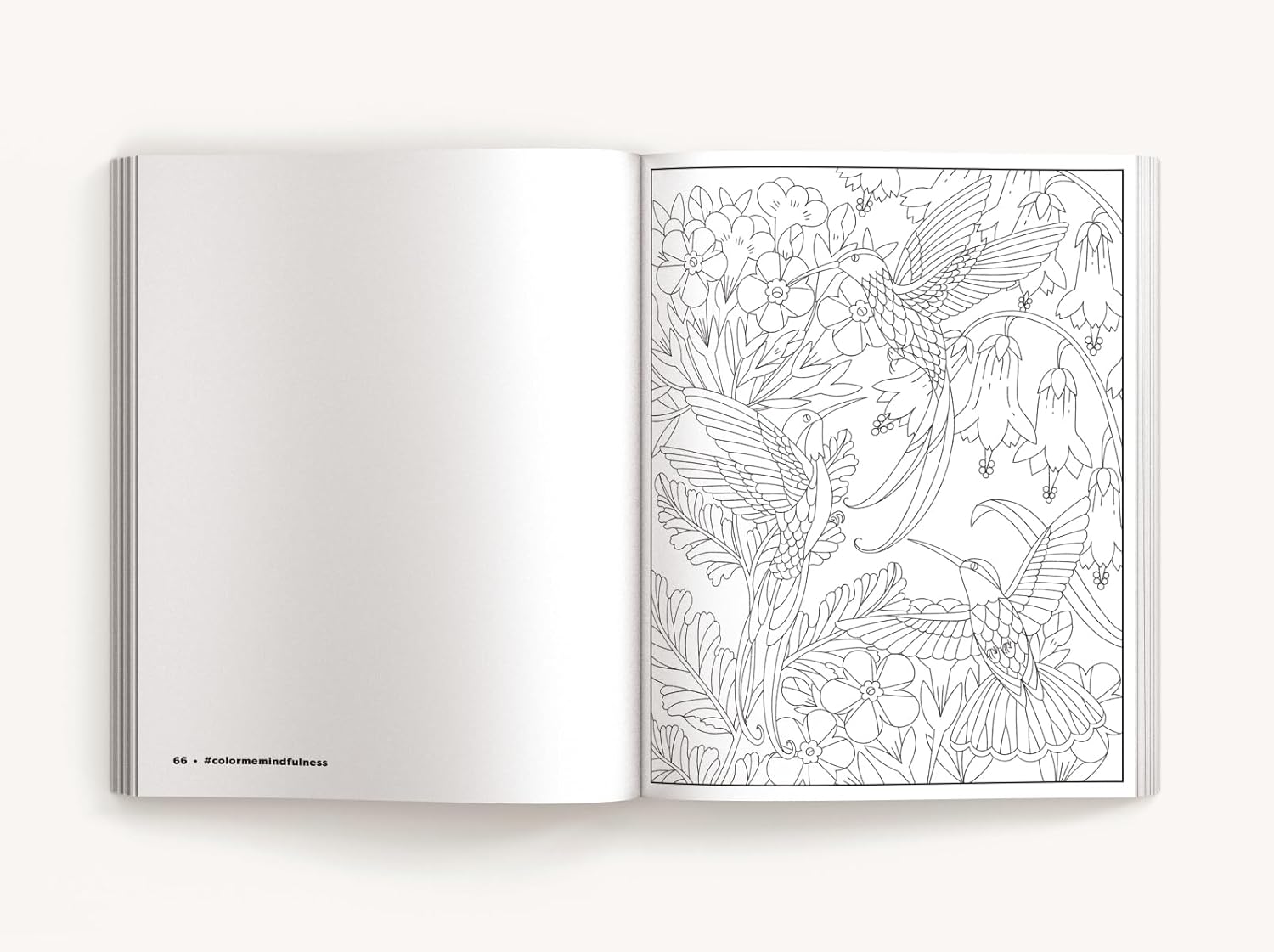 Color Me Mindfulness by Cider Mill Press 9781400347049_5