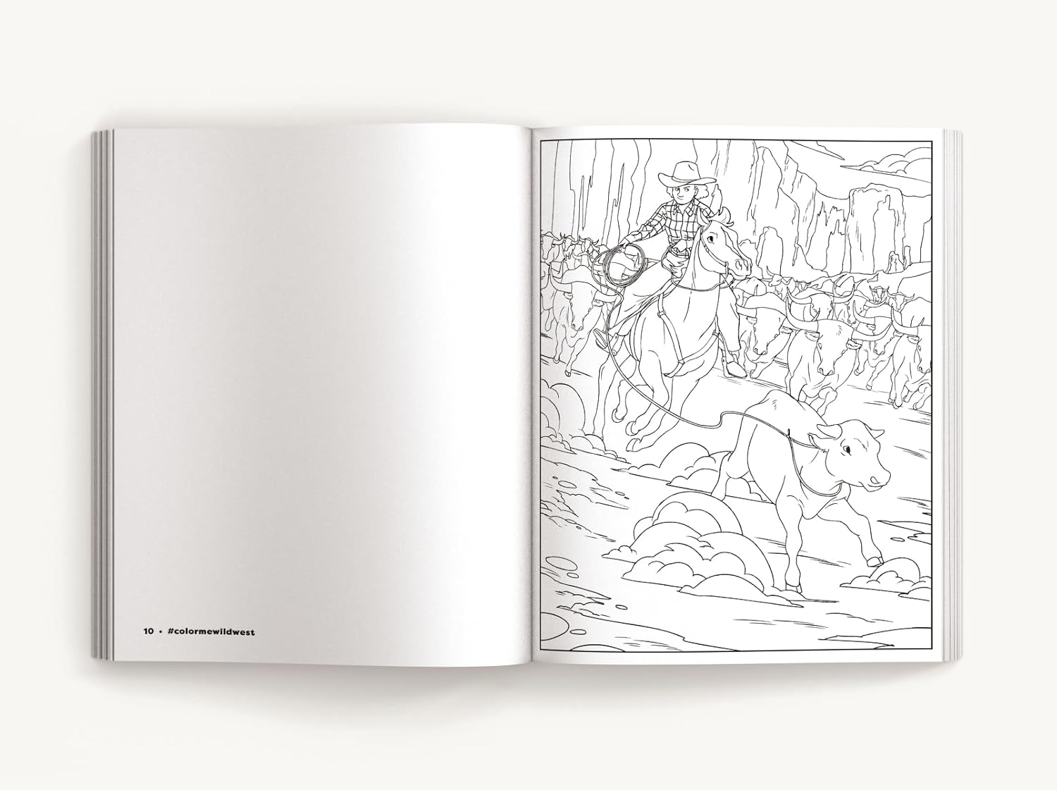 Color Me Wild West by Evans. Izzy 20 9781400350629_2