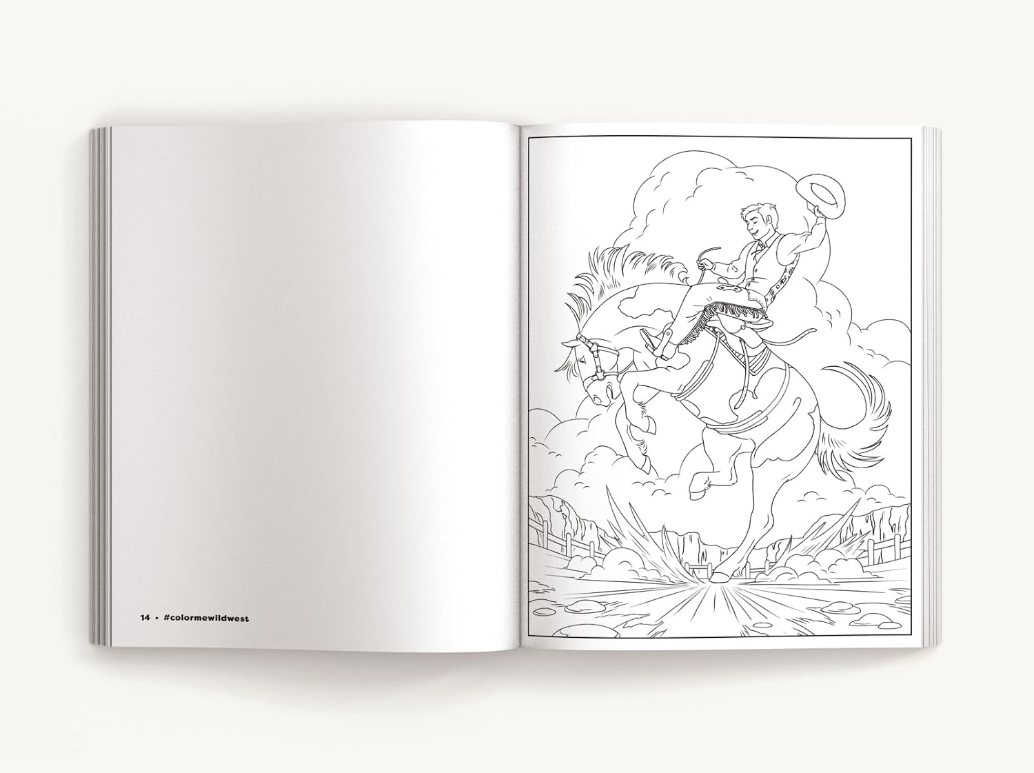 Color Me Wild West by Evans. Izzy 20 9781400350629_3