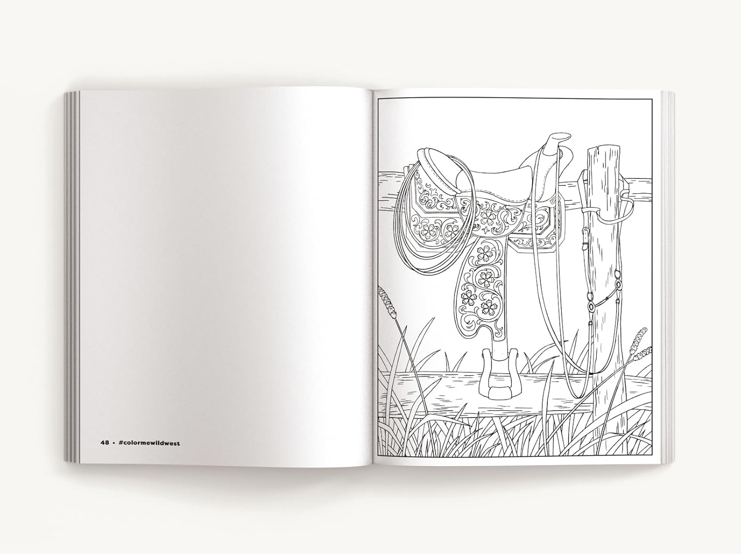 Color Me Wild West by Evans. Izzy 20 9781400350629_5