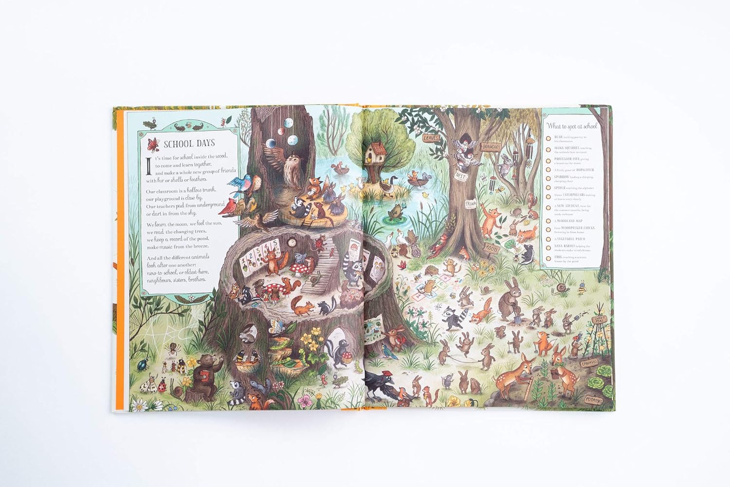 If You Go Down In The Woods Today: Search & Find by Piercey. Rachel; Hartas. Fre 9781419751585_2