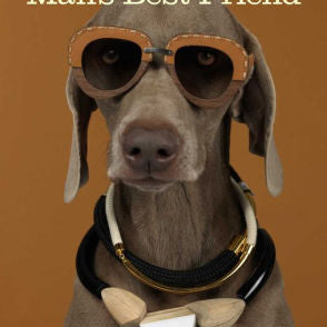WILLIAM WEGMAN MAN's BEST FRIEND 2022 WALL CALENDA 9781419754999_793e3019-a018-4809-b674-eb4ff457ca2d