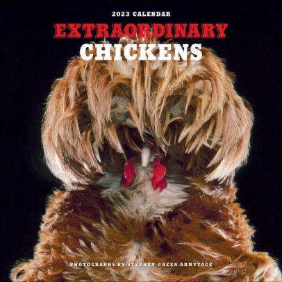 Extraordinary Chickens 2023 Wall Calendar - Andrews Mcmeel 9781419761454_a7ef9262-7bcf-4e59-975d-33f19bcbd204