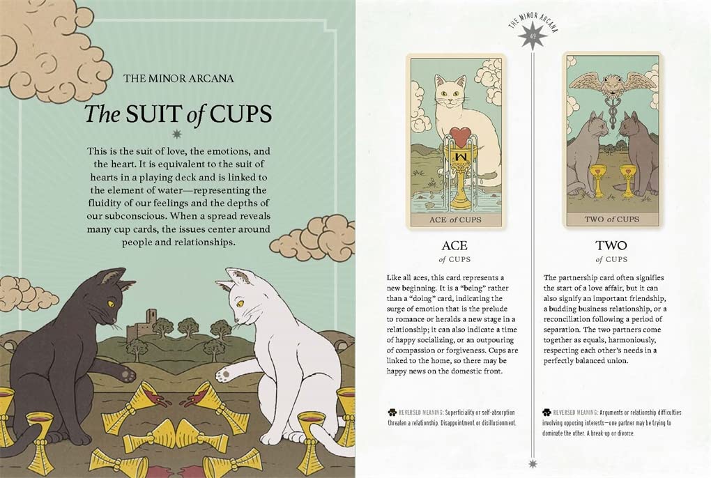 Cats Rule The Earth Tarot by Davidson. Catherine 9781419766060_2