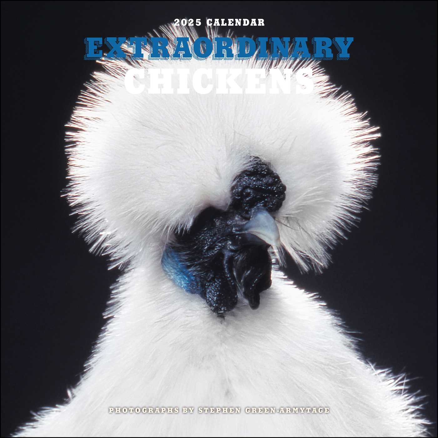 Extraordinary Chickens 2025 Wall Calendar 9781419774027