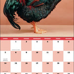 Extraordinary Chickens 2025 Wall Calendar 9781419774027_1e695792-2c3b-4b25-a280-c5c11ce263b5