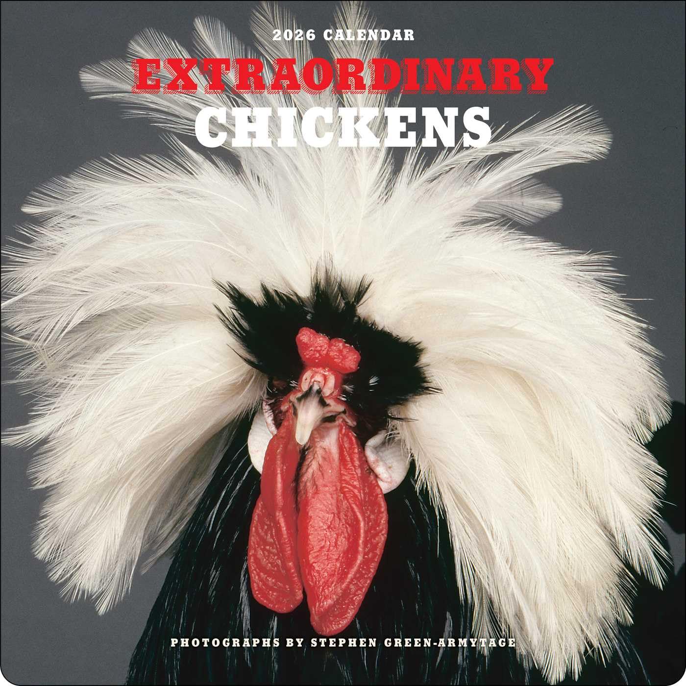 Extraordinary Chickens 2026 Wall Calendar 9781419782459
