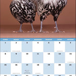 Extraordinary Chickens 2026 Wall Calendar 9781419782459_2