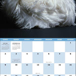 Extraordinary Chickens 2026 Wall Calendar 9781419782459_4