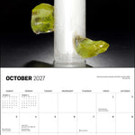 2027 Chihuly Wall Calendar 12x12 20 9781419791642_4