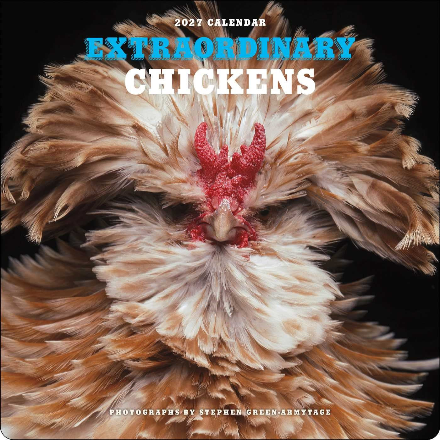 2027 Extraordinary Chickens Wall Calendar 12x12 20 9781419791666