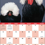 2027 Extraordinary Chickens Wall Calendar 12x12 20 9781419791666_3