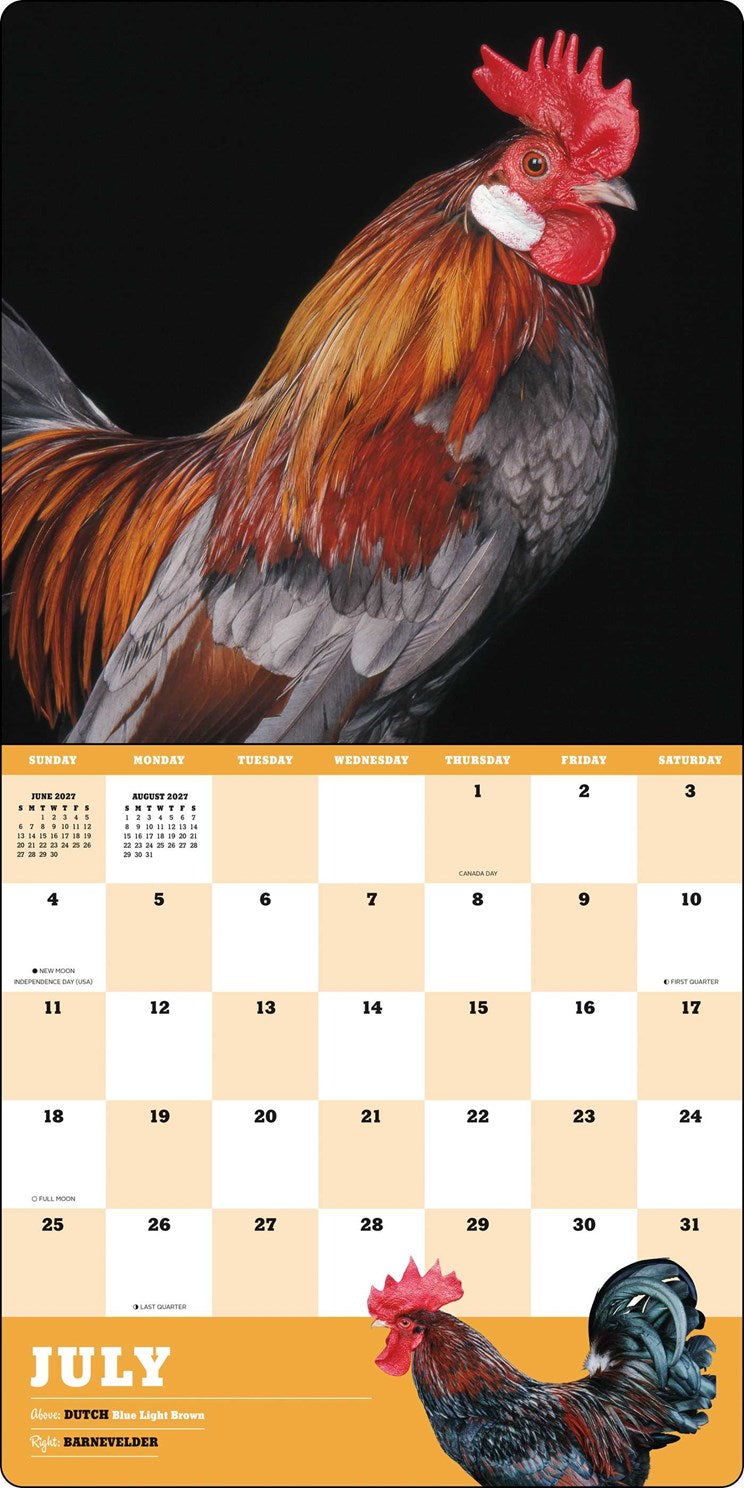 2027 Extraordinary Chickens Wall Calendar 12x12 20 9781419791666_4