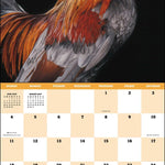 2027 Extraordinary Chickens Wall Calendar 12x12 20 9781419791666_4