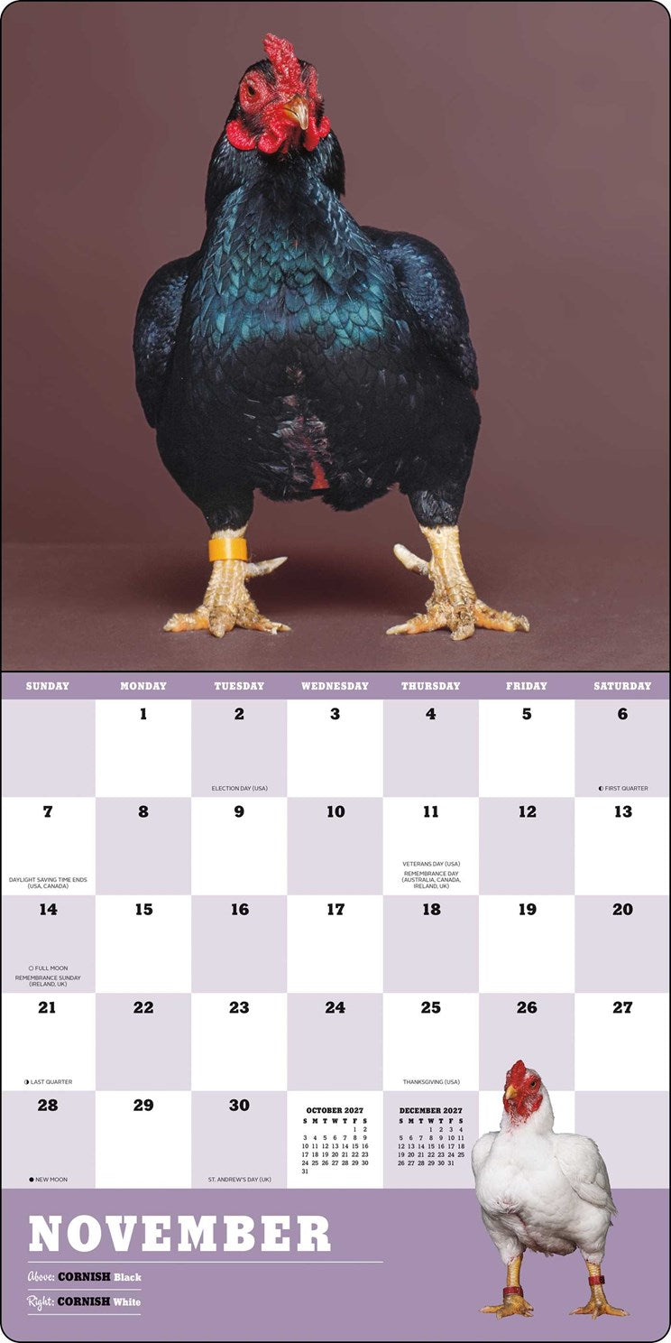 2027 Extraordinary Chickens Wall Calendar 12x12 20 9781419791666_5