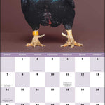 2027 Extraordinary Chickens Wall Calendar 12x12 20 9781419791666_5
