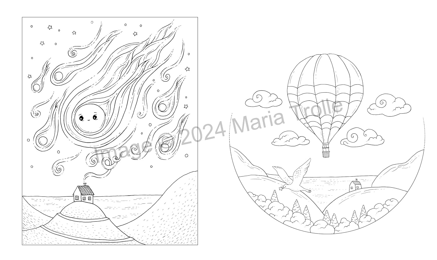 Shooting Star by Trolle. Maria 9781423667612_2