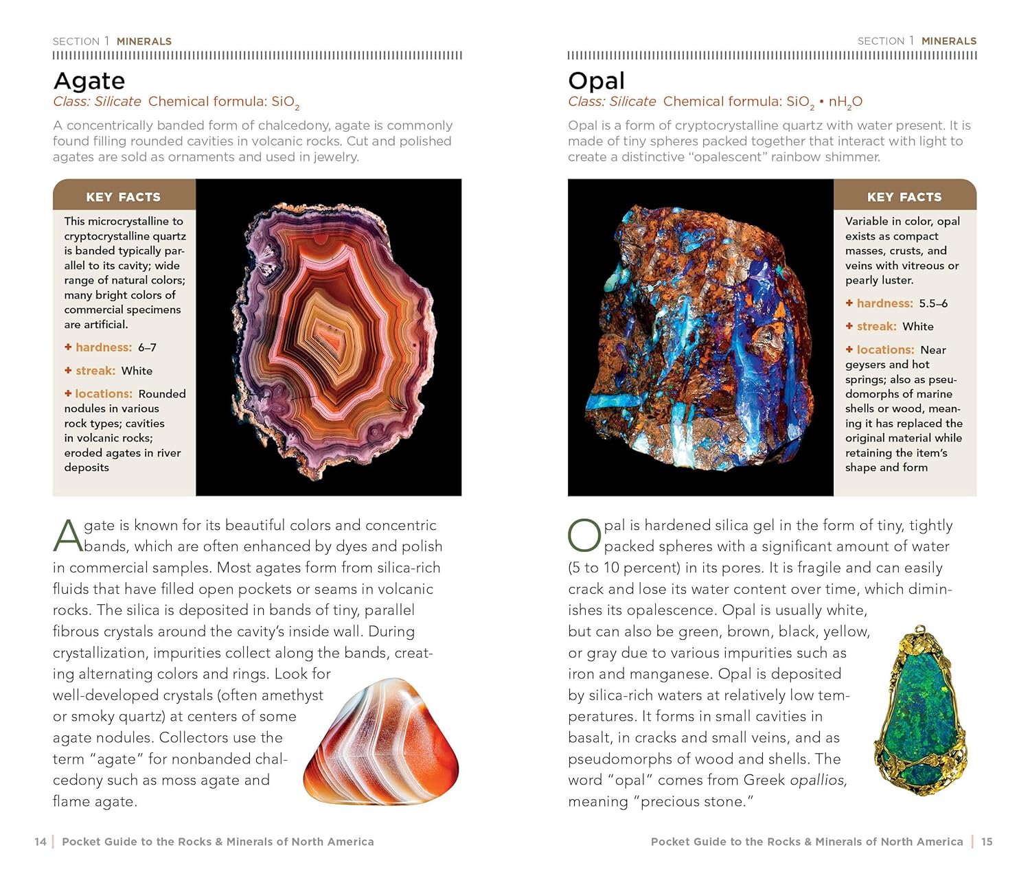 National Geographic Pocket Guidt To Rocks & Minerals Of North America by Garlick 20 9781426212826_3_2abda67b-6ebf-4395-8255-43bd89a3d221