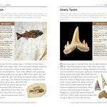 National Geographic Pocket Guidt To Rocks & Minerals Of North America by Garlick 20 9781426212826_5_6f4a2d60-6977-46e8-b3b3-603c24ed9ff7