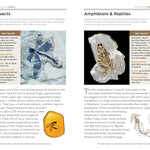 National Geographic Pocket Guidt To Rocks & Minerals Of North America by Garlick 20 9781426212826_6