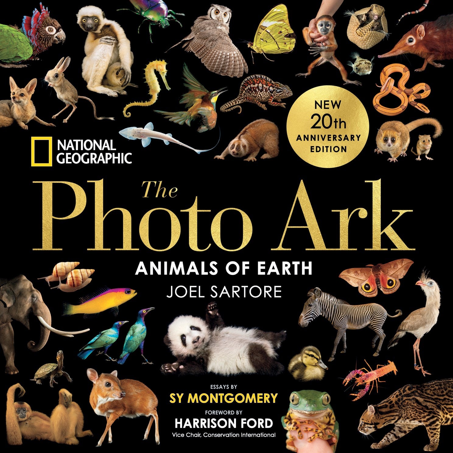 Slide image