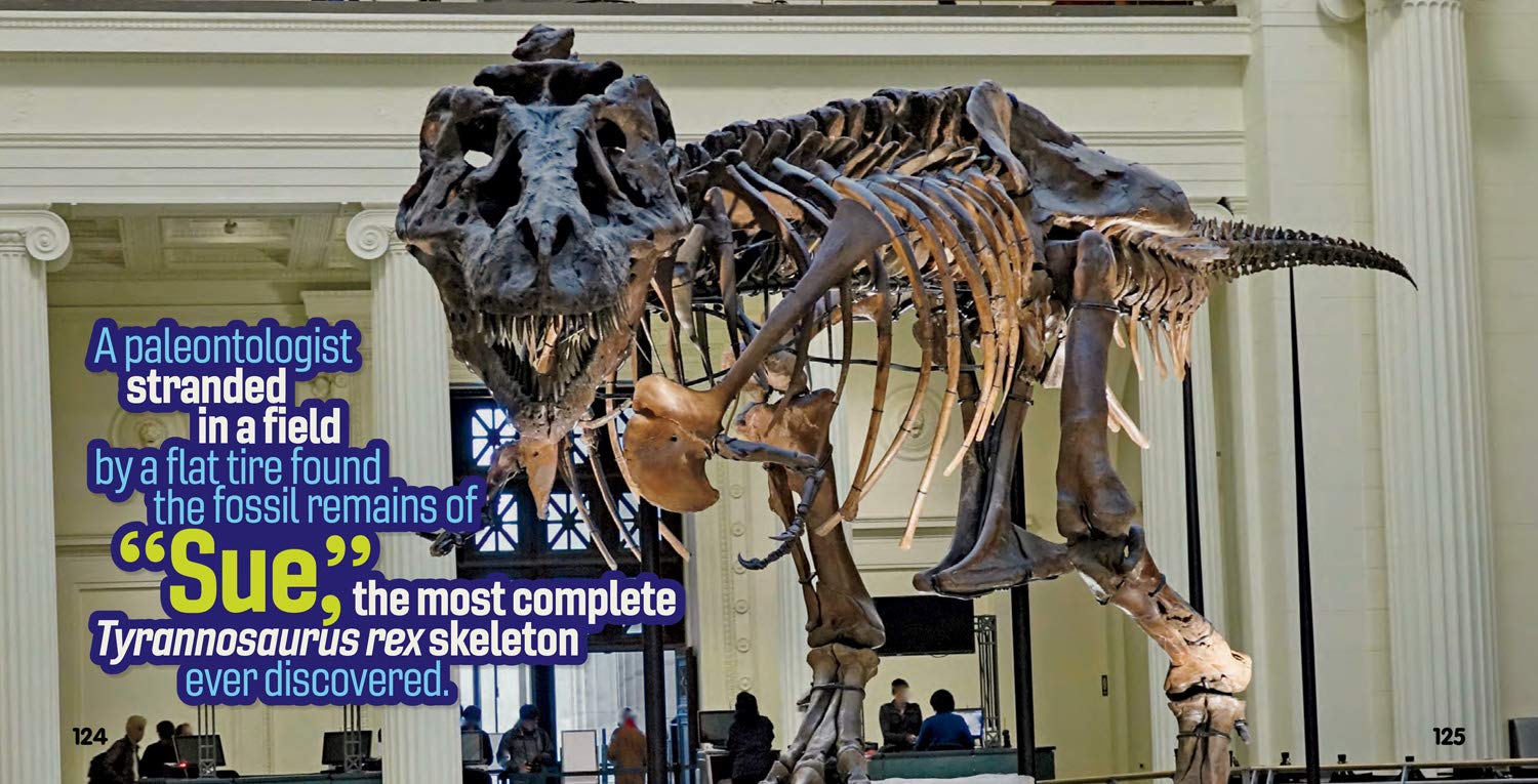 Weird But True! Dinosaurs: 300 Dino-Mite Facts To Sink Your Teeth Into by Kids. 9781426337505_3