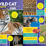 5,000 Awesome Facts (About Everything!) by National Geographic, Kids 9781426376139_7
