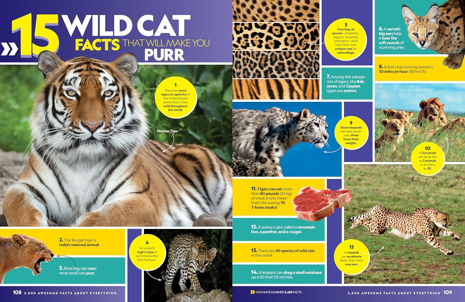 5,000 Awesome Facts (About Everything!) by National Geographic, Kids 9781426376139_7