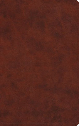 Large Print Value Thinline Bible-Esv by Crossway Bibles 9781433550263_a8e6c34f-6a1f-412f-8333-8ae849f5a993