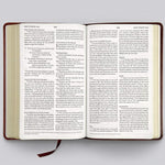 Esv Bible Large Print Thinline Burgundy by Crossway 20 9781433566820_1