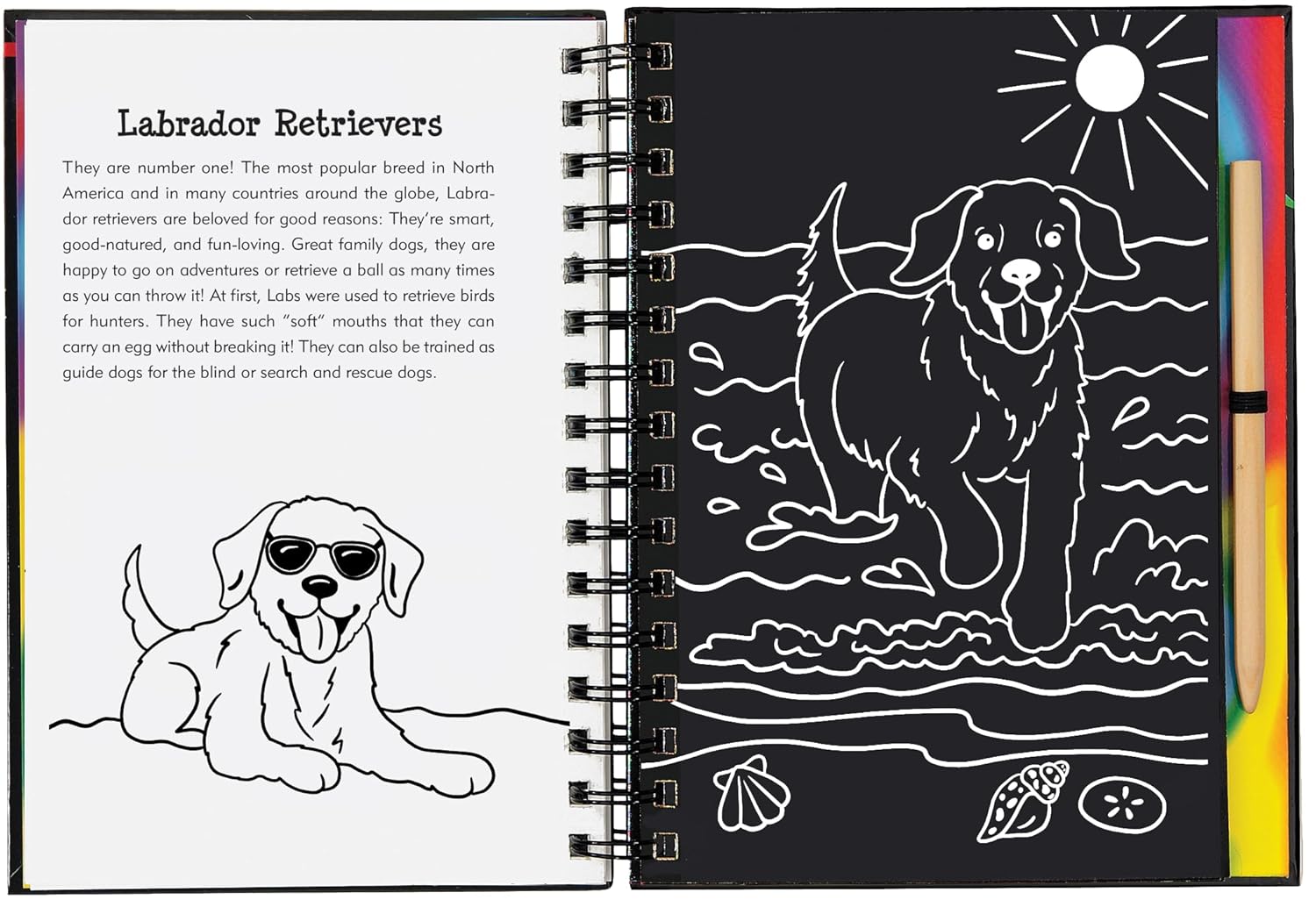 Scratch & Sketch Puppies by Peter Pauper Press 9781441329233_1