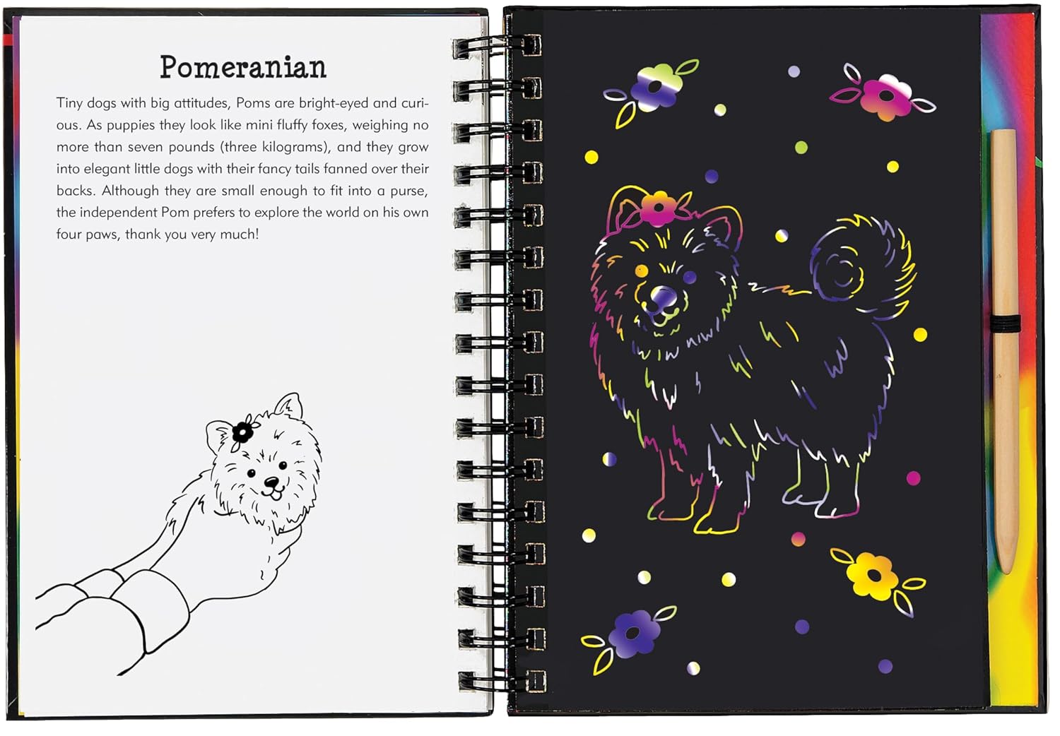 Scratch & Sketch Puppies by Peter Pauper Press 9781441329233_2
