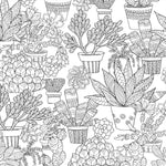 Studio Series Succulents Coloring Book -Peter Pauper Press 9781441334558_1