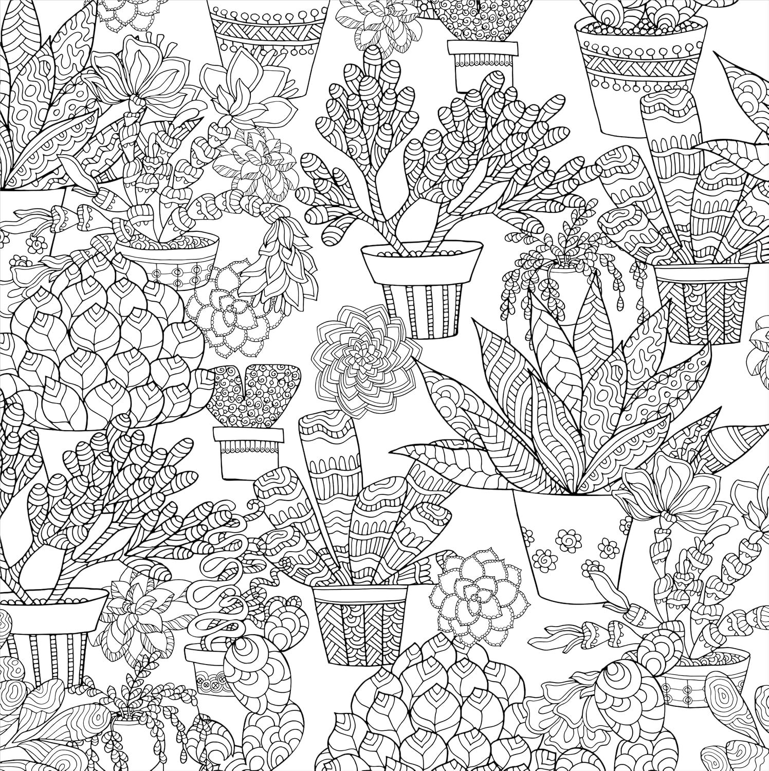 Studio Series Succulents Coloring Book -Peter Pauper Press 9781441334558_1