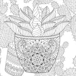 Studio Series Succulents Coloring Book -Peter Pauper Press 9781441334558_2