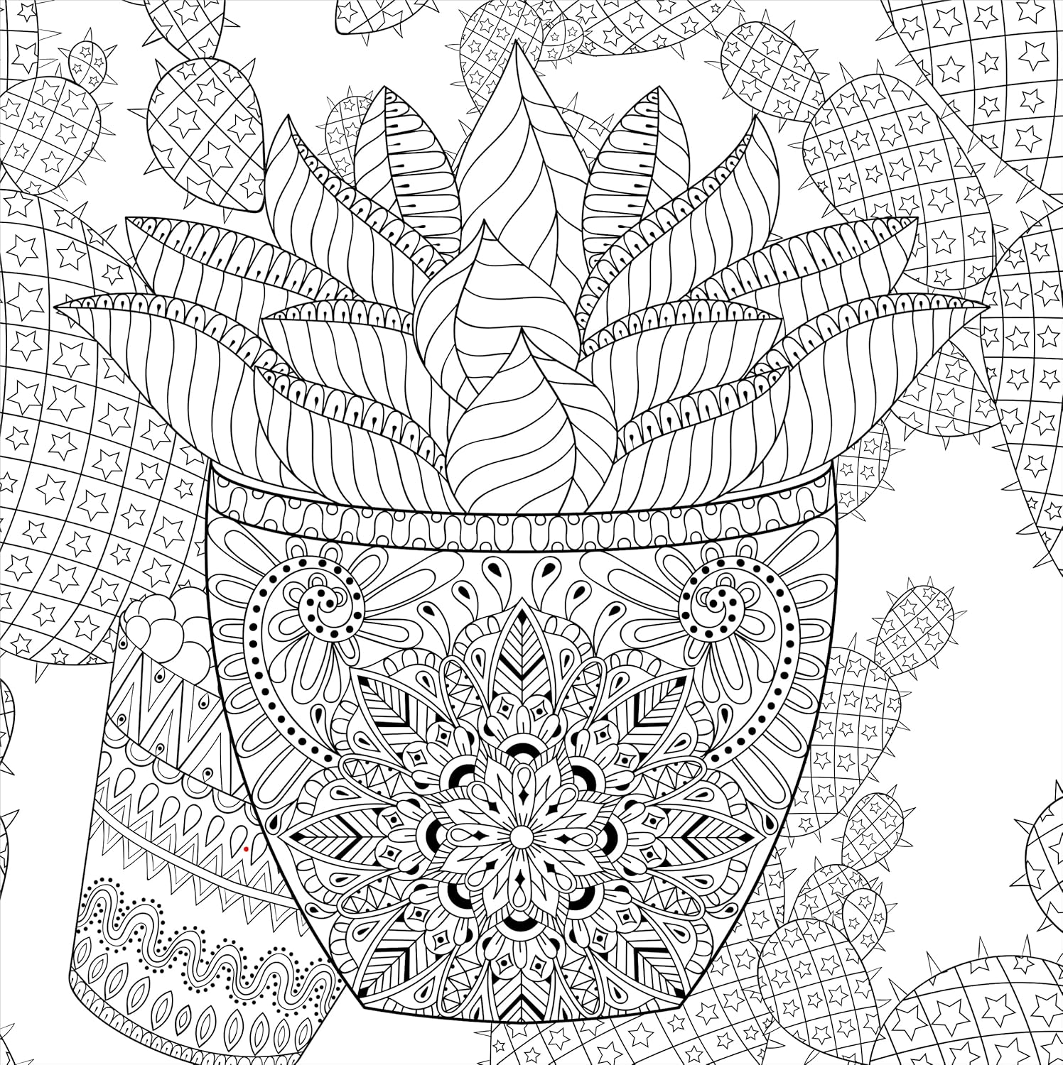 Studio Series Succulents Coloring Book -Peter Pauper Press 9781441334558_2