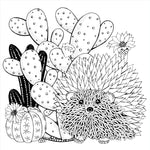 Studio Series Succulents Coloring Book -Peter Pauper Press 9781441334558_4