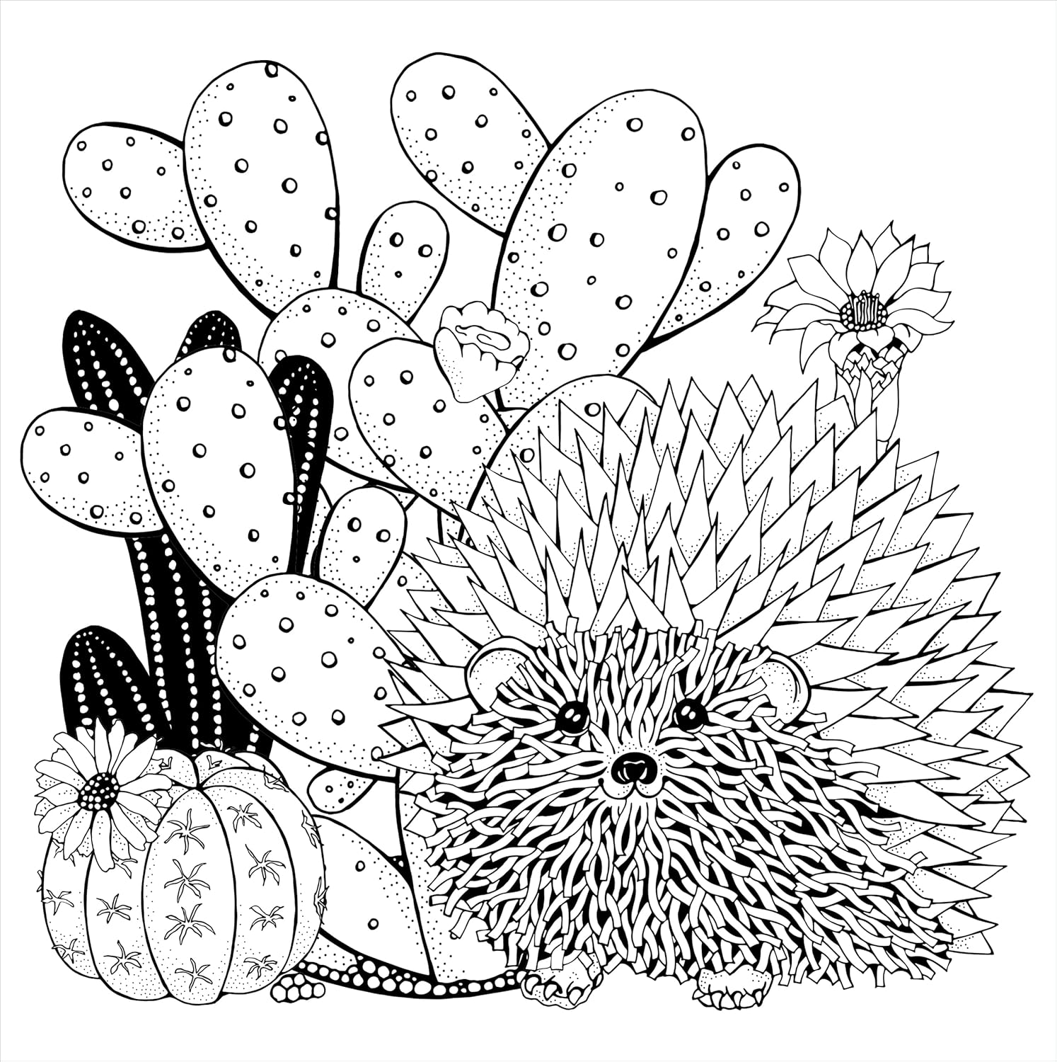 Studio Series Succulents Coloring Book -Peter Pauper Press 9781441334558_4