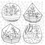 Studio Series Succulents Coloring Book -Peter Pauper Press 9781441334558_5
