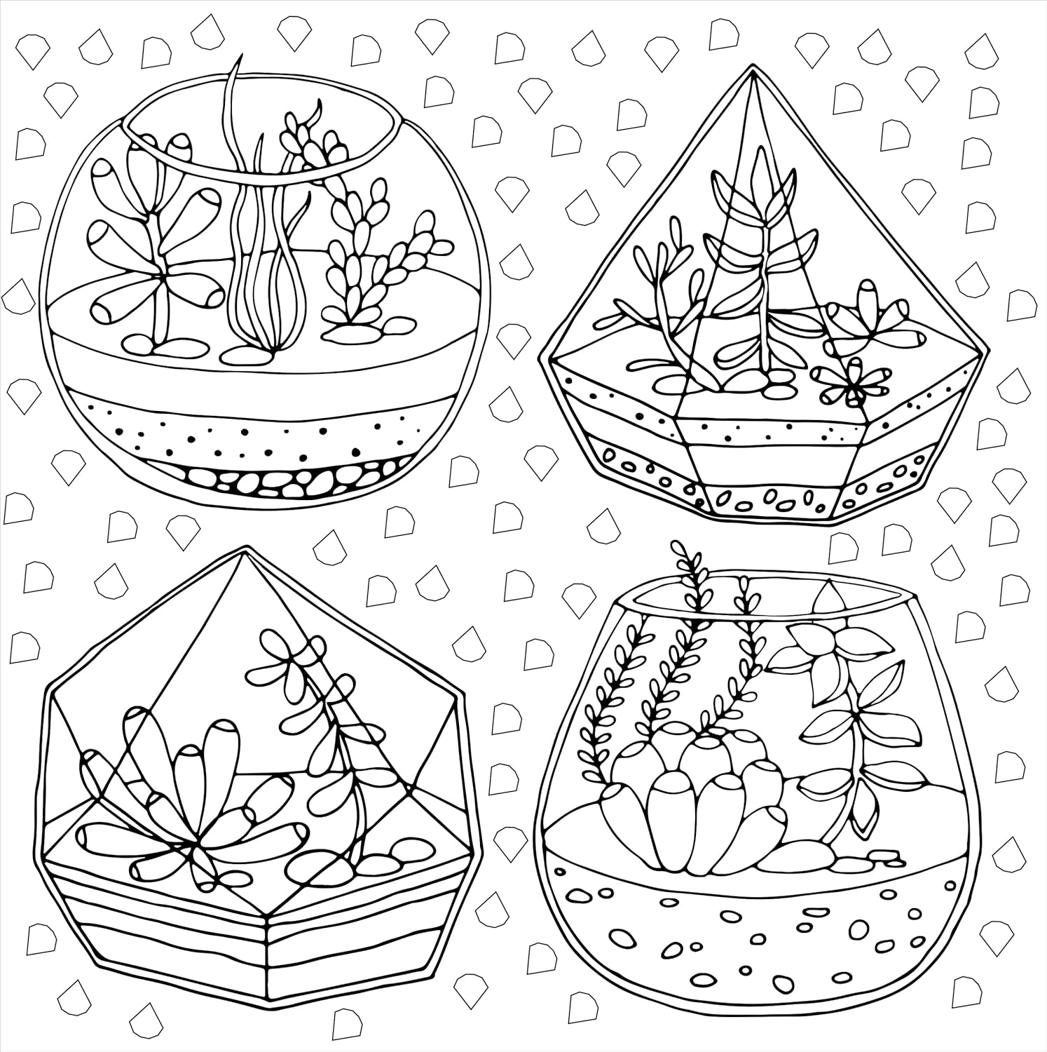 Studio Series Succulents Coloring Book -Peter Pauper Press 9781441334558_5