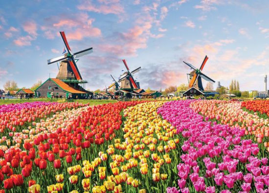 Windmills & Tulips 1,000 Piece Jigsaw Puzzle - Peter Pauper Press Inc 9781441337504_6b5238e8-9907-4649-96c9-4b366405de19