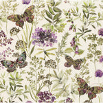 Amethyst Butterflies Note Card 50 9781441339041