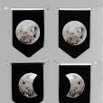 Moon Phases I-Clips by Peter Pauper Press 9781441339775