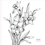 Studio Series Spring Blooms Artist's Coloring Book by Peter Pauper Press 9781441340139_1