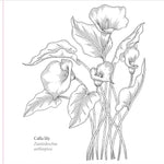 Studio Series Spring Blooms Artist's Coloring Book by Peter Pauper Press 9781441340139_4