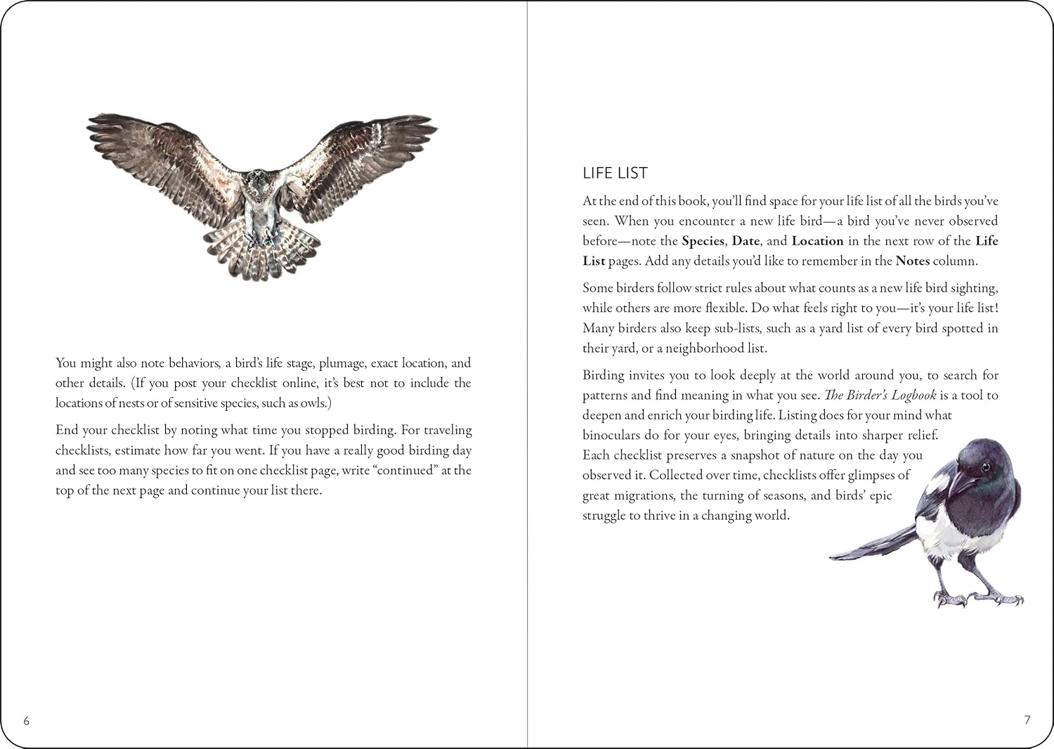 The Birder's Logbook by Peter Pauper Press 9781441340153_2