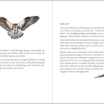 The Birder's Logbook by Peter Pauper Press 9781441340153_2