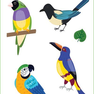 Birds Stickers 9781441340610