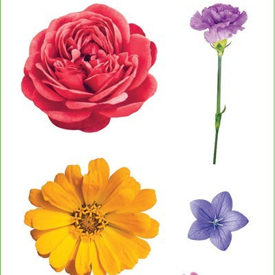 Flowers Stickers 9781441340696