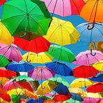 All The Umbrellas 1,000 Piece Jigsaw Puzzle - Peter Pauper Press Inc 9781441340948